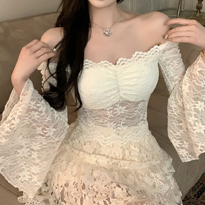 Waist-Cinching Sexy Lace Top And Puffy Skirt Set