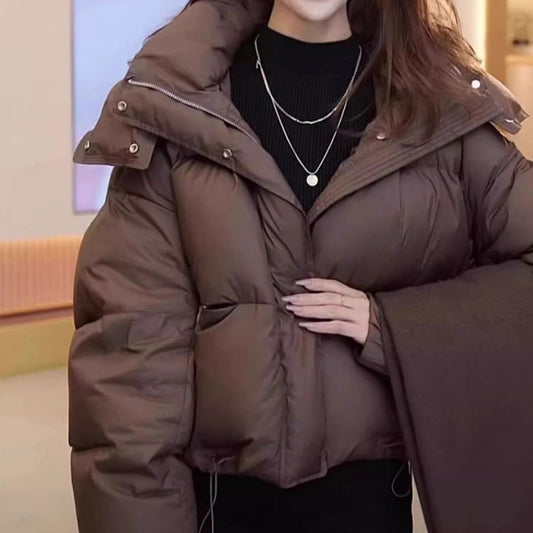 Winter Fashion Hooded Down Jacket