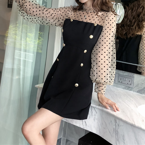 Polka Dot Mesh Panel Lantern Puff Sleeve Dress