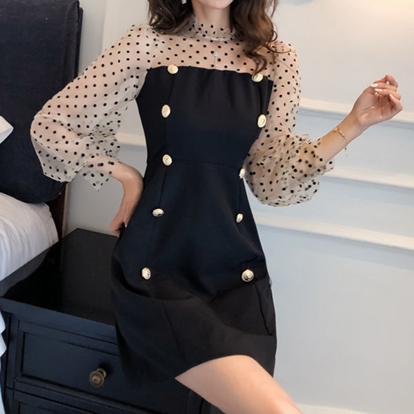 Polka Dot Mesh Panel Lantern Puff Sleeve Dress