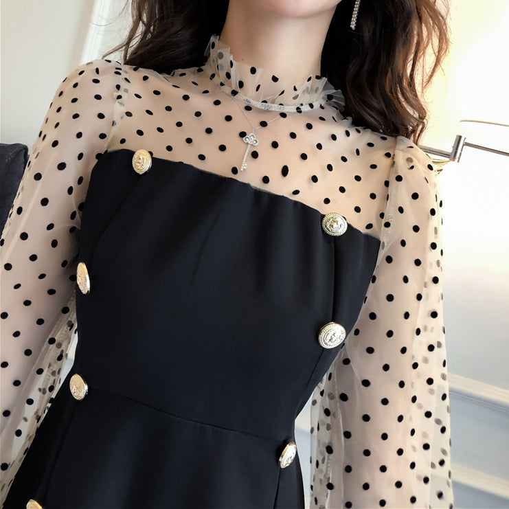 Polka Dot Mesh Panel Lantern Puff Sleeve Dress