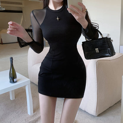 Black Mesh Stitching See-Through Bodycon Dress